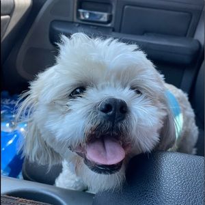 Meet your Posher, Joel